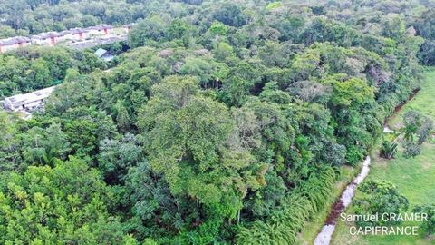 Dpt Guyane (973), à vendre SAINT LAURENT DU MARONI Terrain