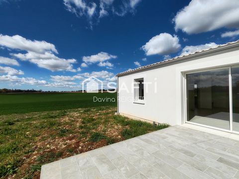 photo no. 13