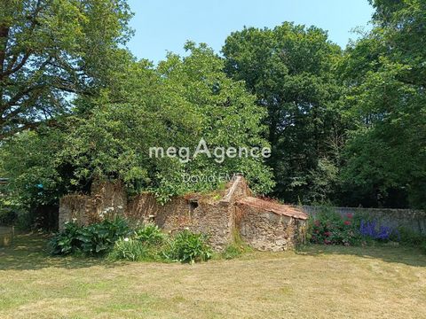 photo no. 14