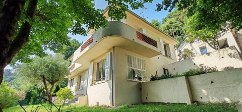 photo no. 15