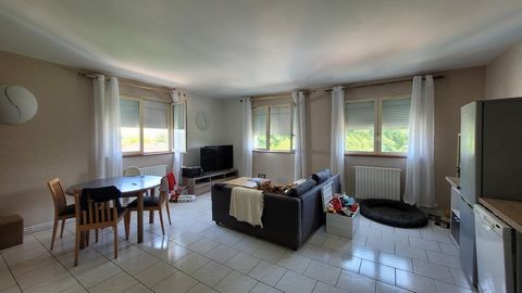 photo no. 17
