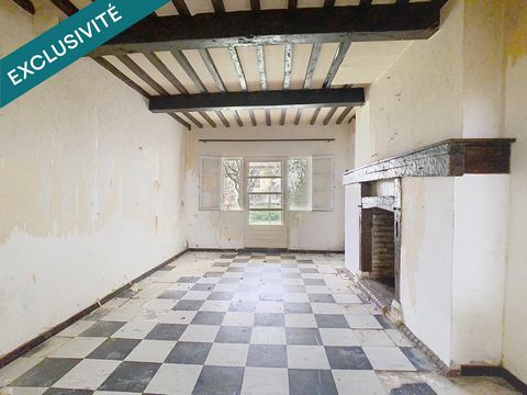 Maison de ville avec jardin à renover