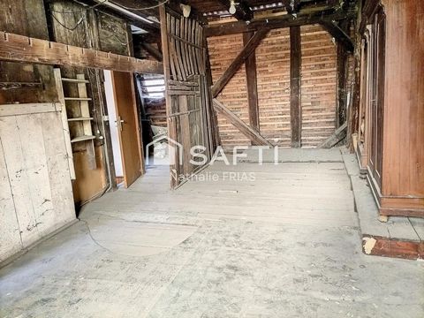 photo no. 10