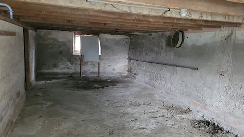 photo no. 11