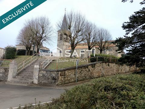 photo no. 11