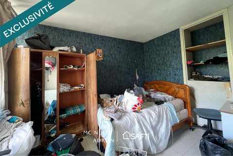 photo no. 6