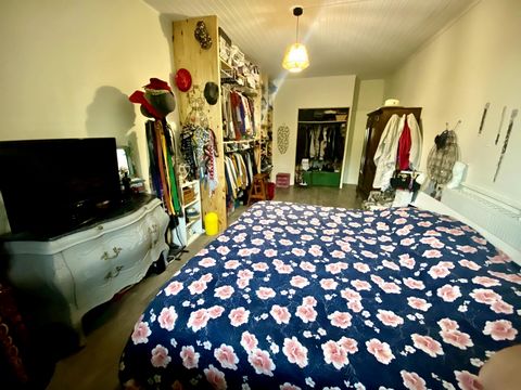 photo no. 12