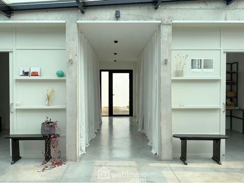 photo no. 10