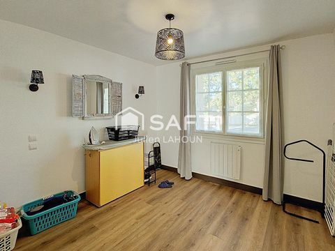 photo no. 8