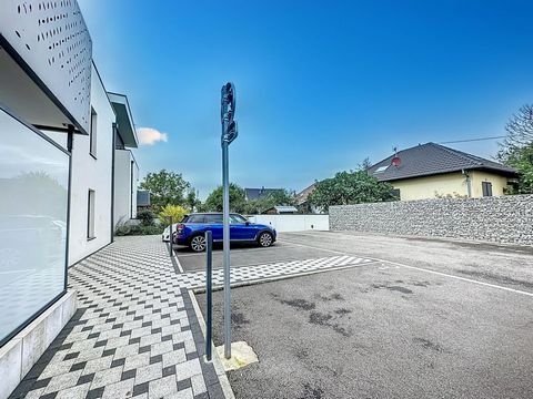 photo no. 15