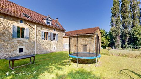 photo no. 10
