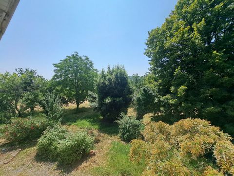 photo no. 25