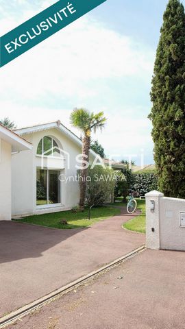 photo no. 13
