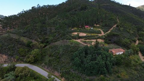Com ribeira, zonas planas e excelente potencial de reabilitação A cerca de 25 minutos da vila de Monchique, encontra esta propriedade com 9.600 m², ideal para quem procura tranquilidade, ligação à natureza e um projeto com carácter. Terreno variado c...