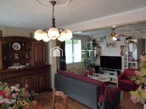 photo no. 11