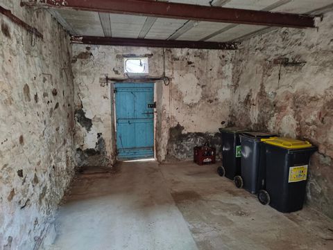 photo no. 13