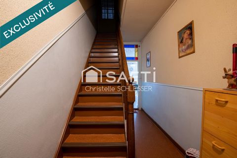 photo no. 5