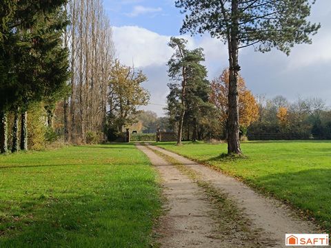 photo no. 11
