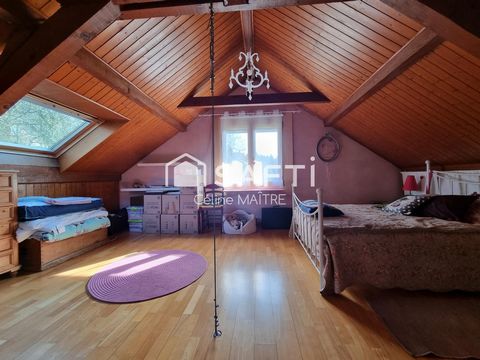 photo no. 11