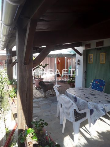 photo no. 8