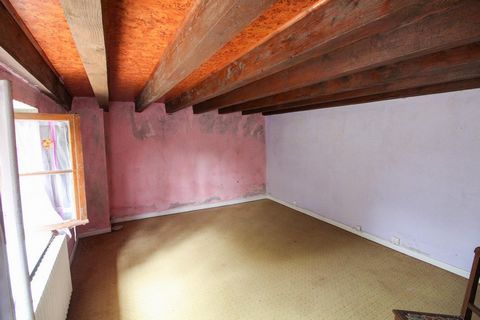 photo no. 8