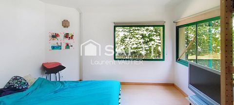 photo no. 11