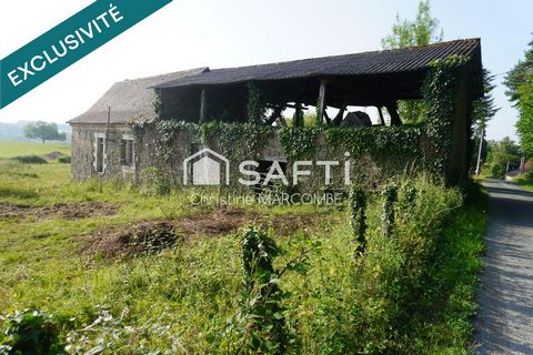 photo no. 12