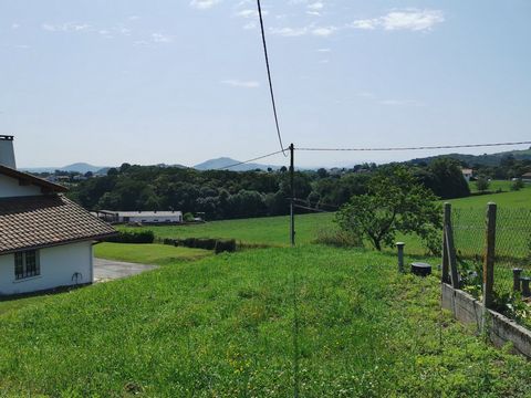 photo no. 5