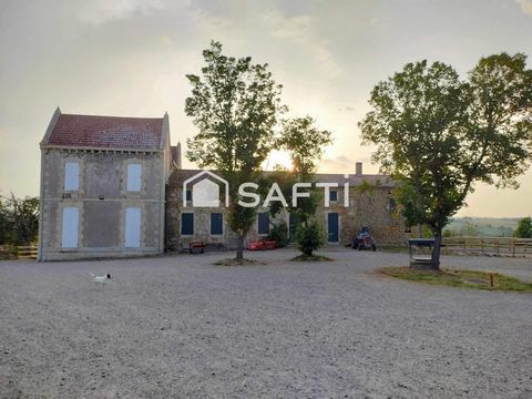 photo no. 18