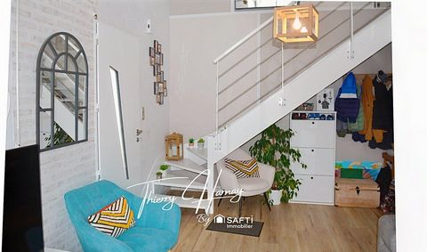 photo no. 7