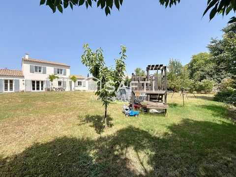 photo no. 16