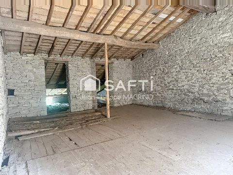 photo no. 11