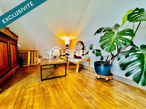 photo no. 10