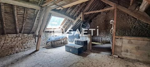 photo no. 13