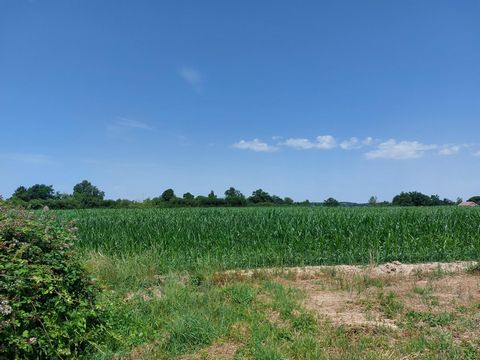 photo no. 4