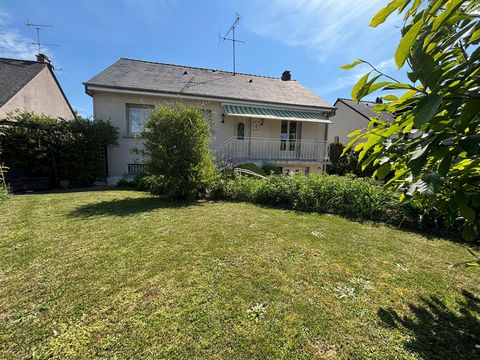 photo no. 11