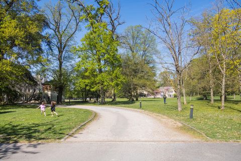 photo no. 8