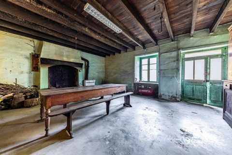 photo no. 15