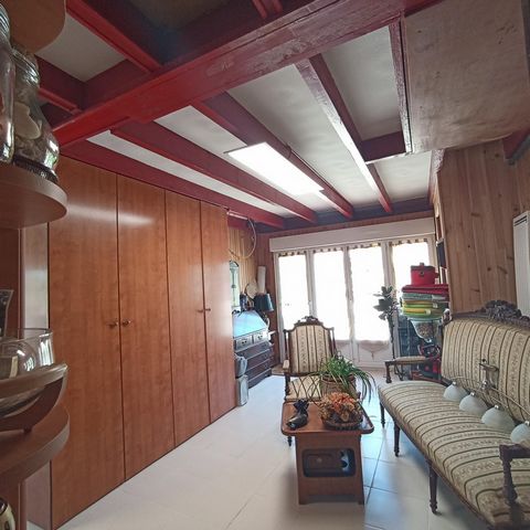 photo no. 13