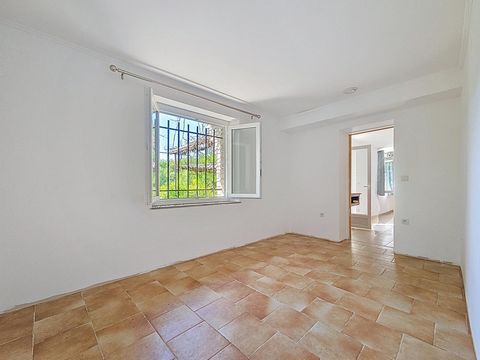 photo no. 14
