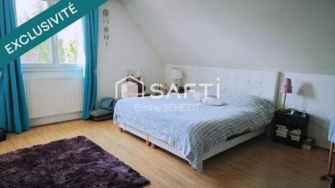 photo no. 4