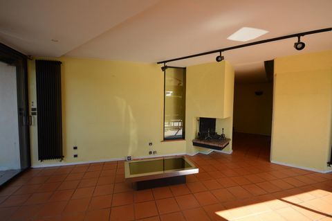 photo no. 5