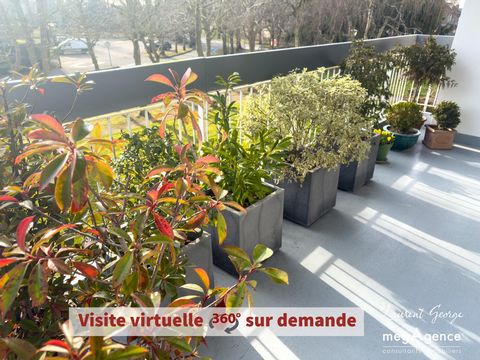 photo no. 13