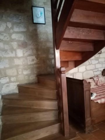photo no. 6