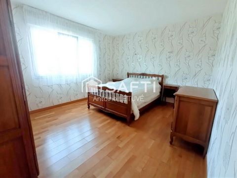 photo no. 6