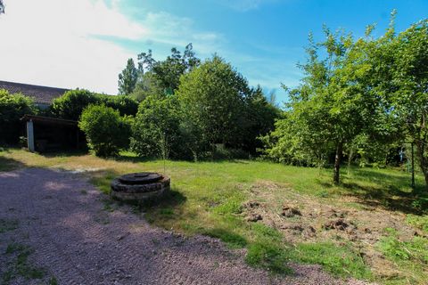 photo no. 12