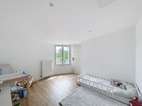photo no. 6