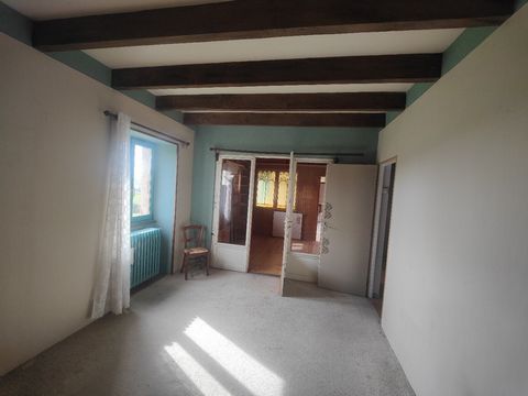 photo no. 8
