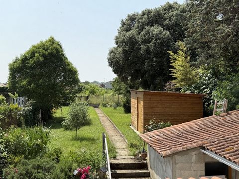 photo no. 17