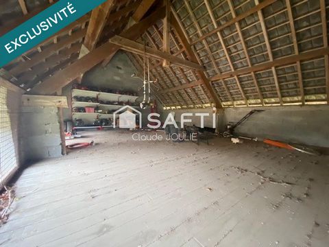 photo no. 4